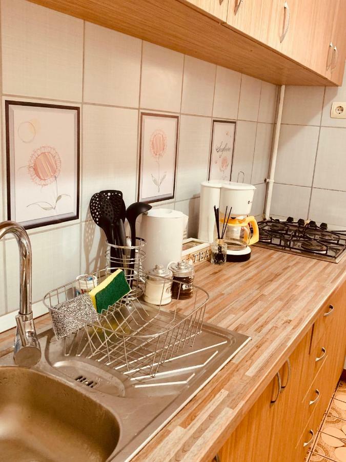 Ultracentral Apartment With All You Need: Wifi, Tv, Ac, Washer, Coffe Timisoara Exterior photo