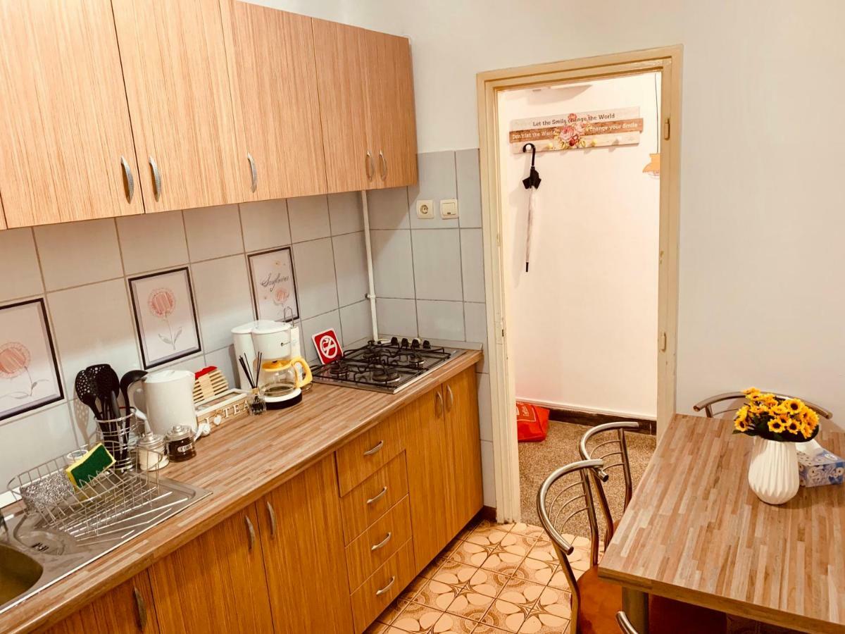 Ultracentral Apartment With All You Need: Wifi, Tv, Ac, Washer, Coffe Timisoara Exterior photo